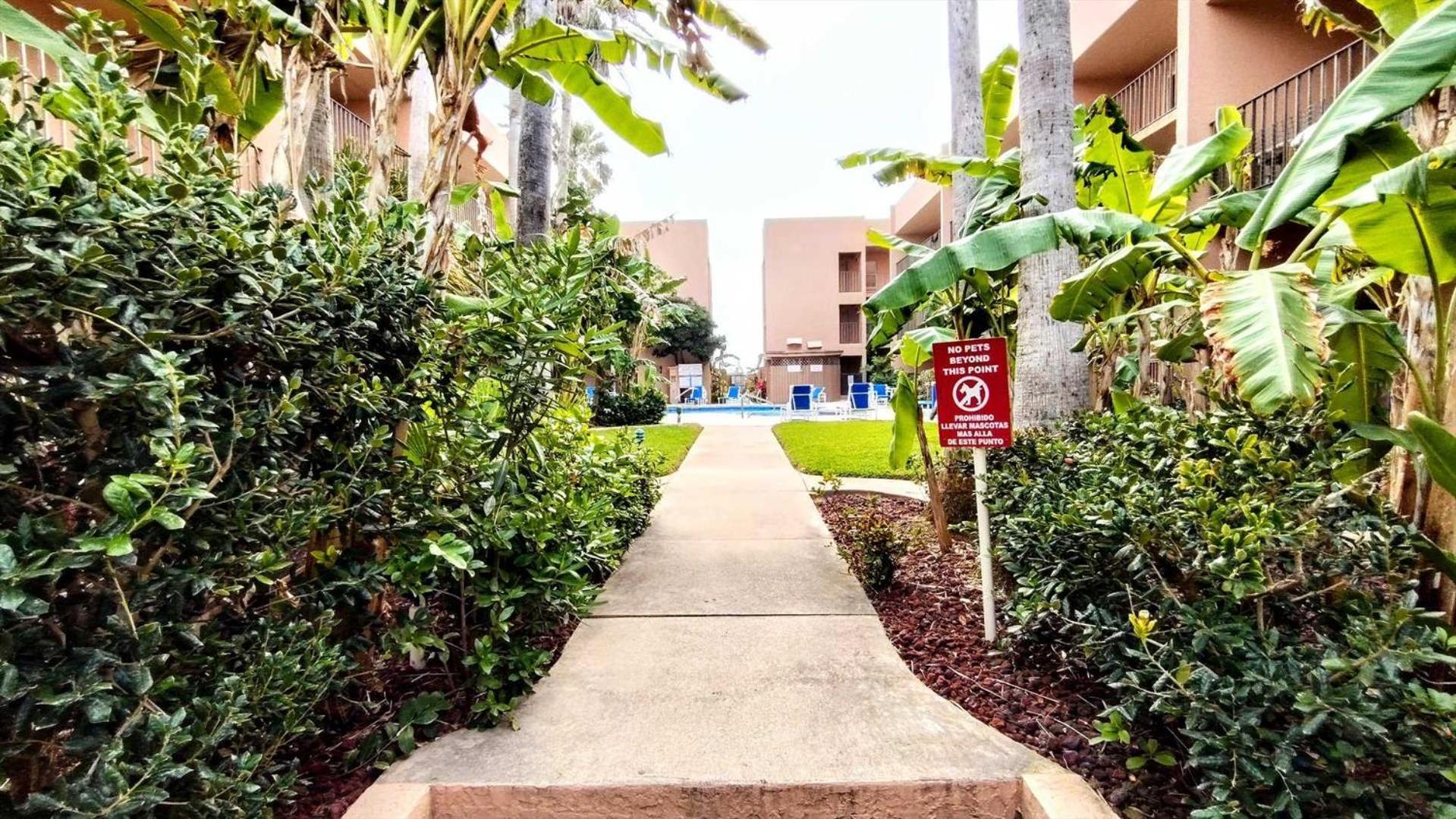 Beachview 110 Condo South Padre Island Exterior photo